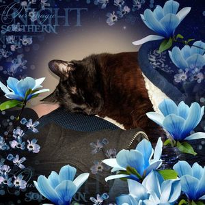 Meet your Posher, Tiffany